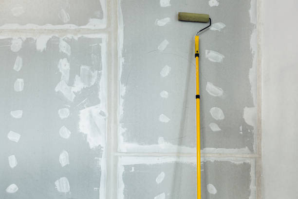 Best Mold Odor Removal Services  in Athens, WV