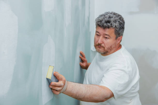 Trusted Athens, WV Mold Removal Experts