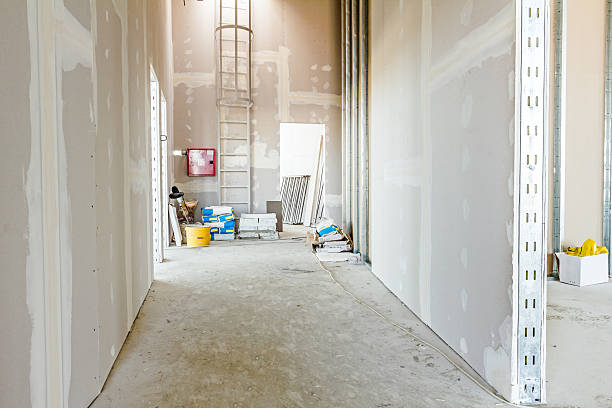 Best Attic Mold Removal  in Athens, WV